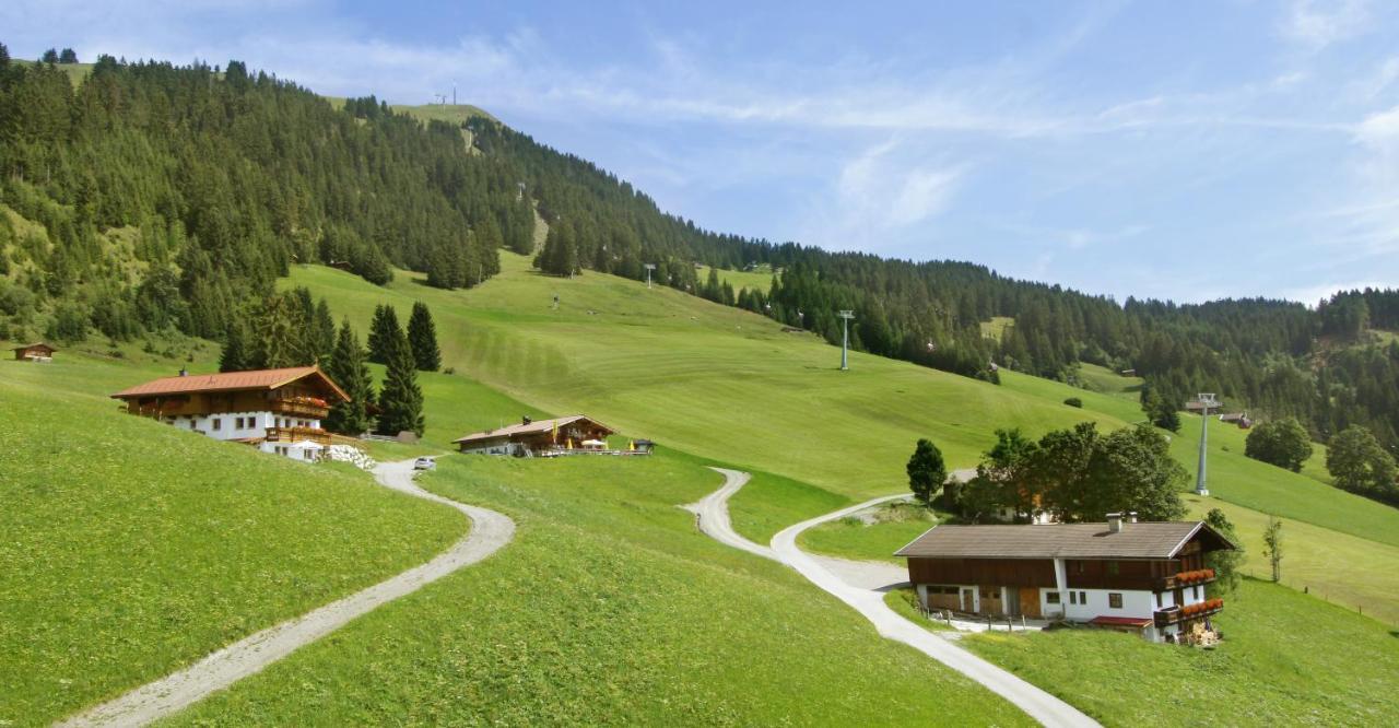 Salvenalm Hopfgarten im Brixental