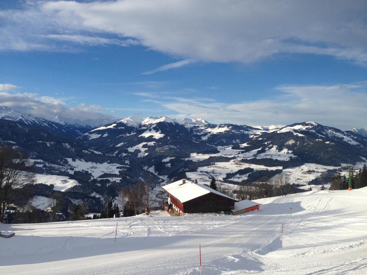 Ferienhaus Salvenalm