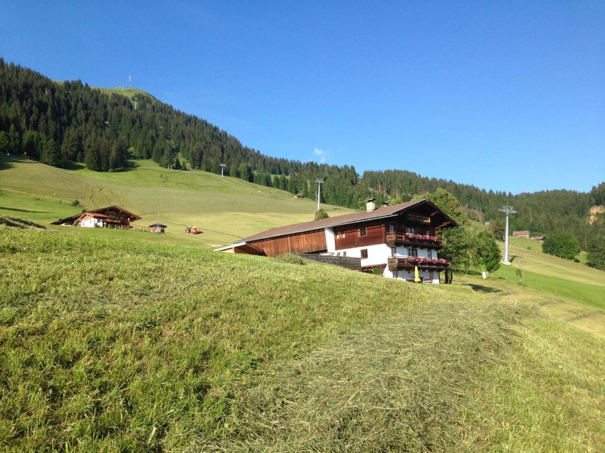 Salvenalm Ferienhaus *