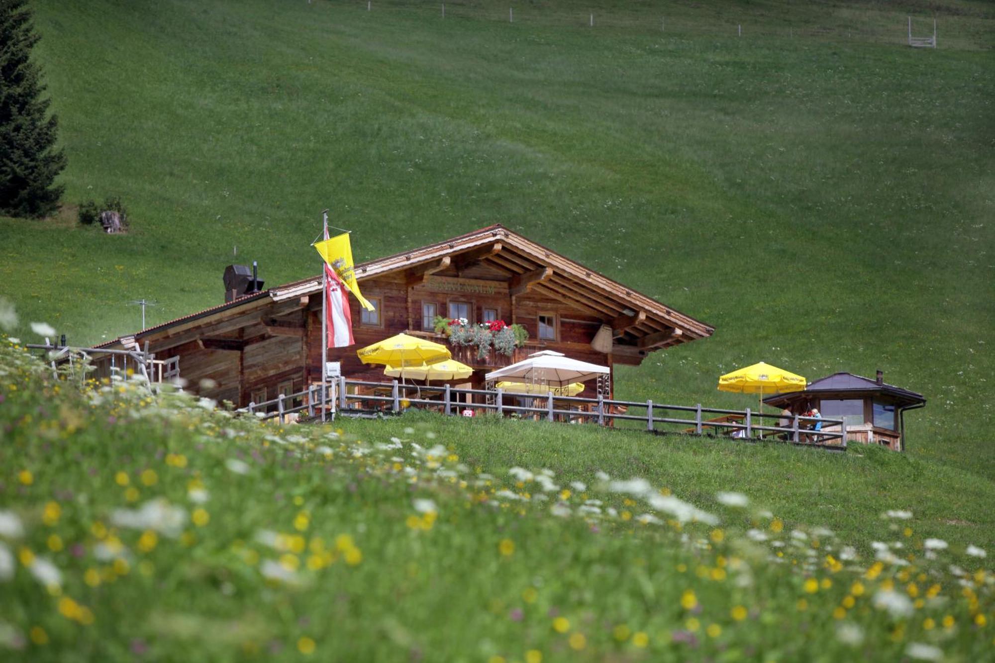 Salvenalm Hopfgarten im Brixental