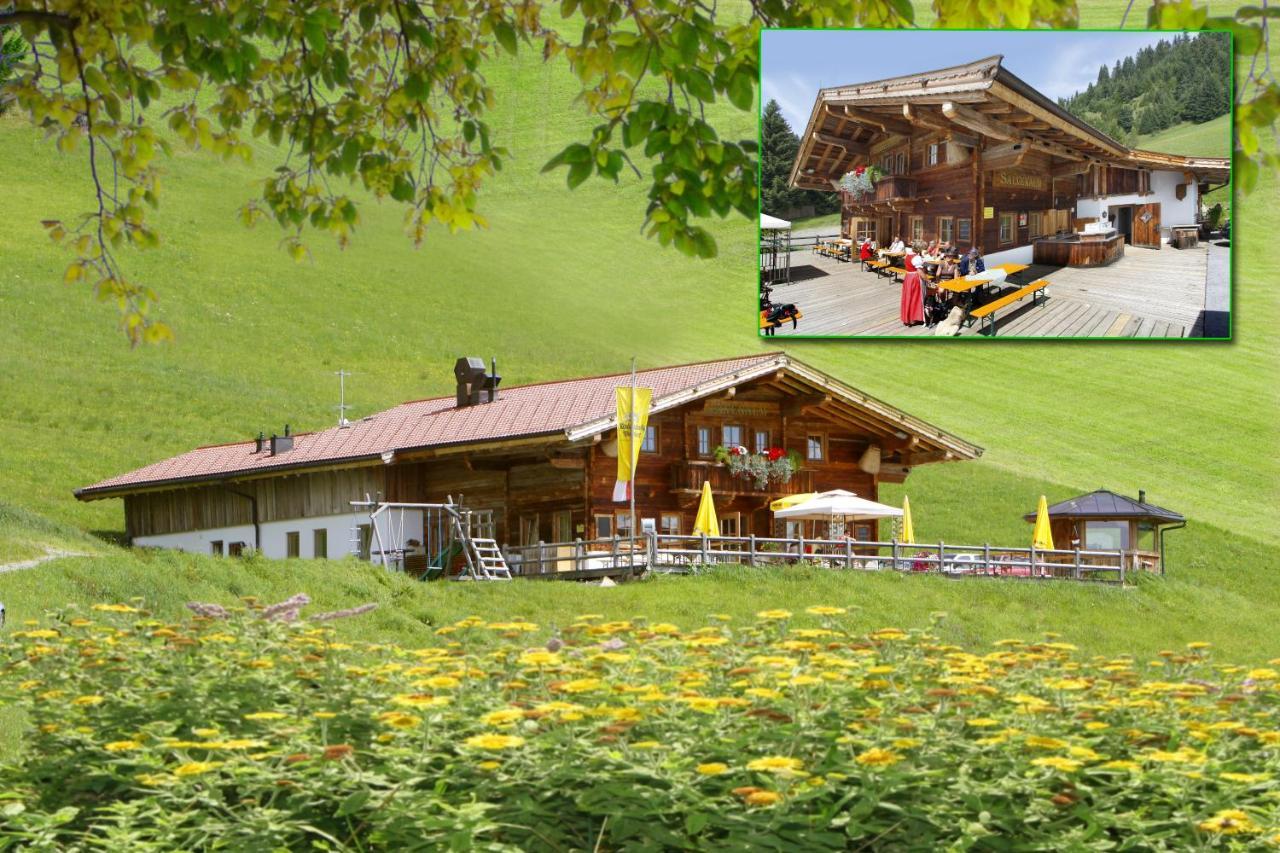 Salvenalm Holiday home Hopfgarten im Brixental