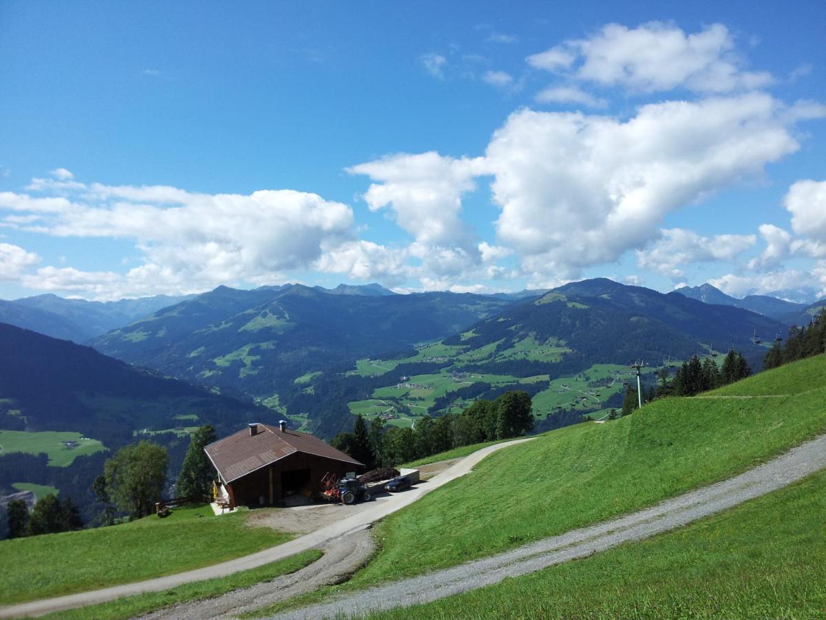 Salvenalm