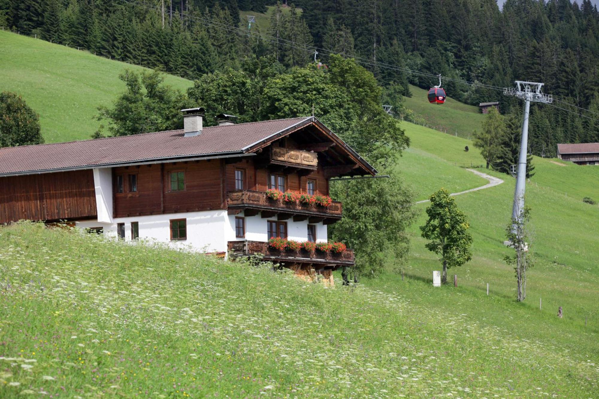 Salvenalm * Hopfgarten im Brixental